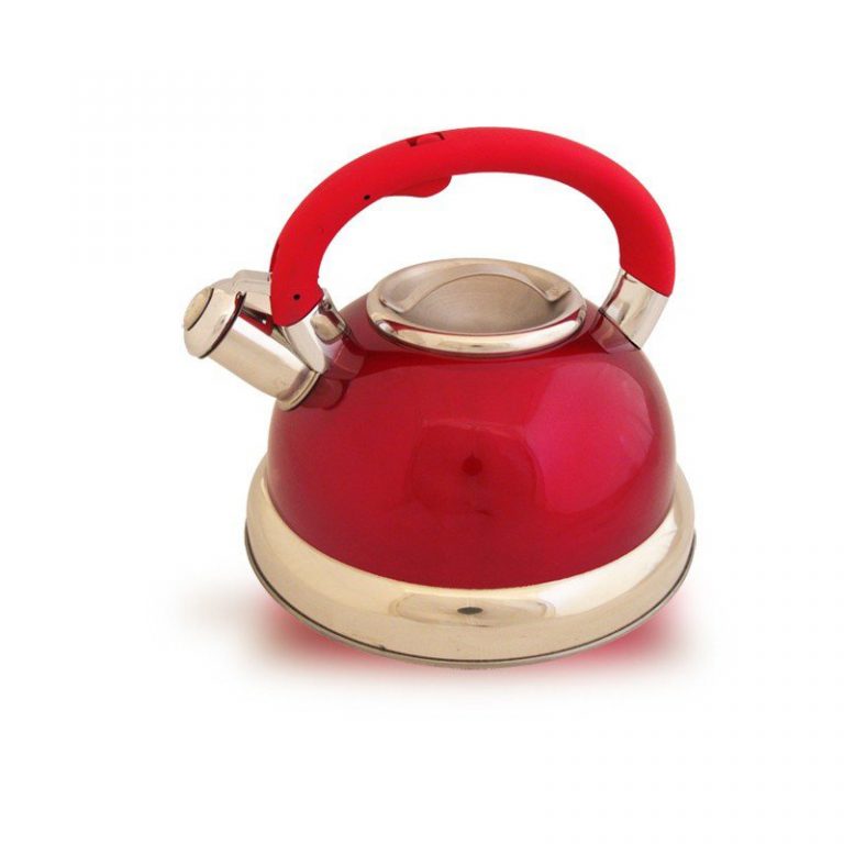 Gas Stove top kettle